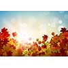 Background conceptual image with autumn leaves. Place for text