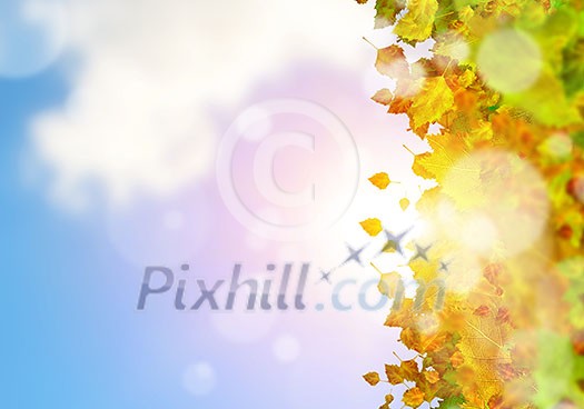 Background conceptual image with autumn leaves. Place for text Background conceptual image with autumn leaves. Place for text