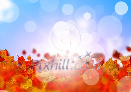 Background conceptual image with autumn leaves. Place for text