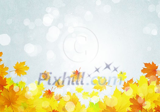 Background conceptual image with autumn leaves. Place for text