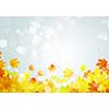Background conceptual image with autumn leaves. Place for text