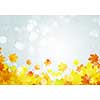 Background conceptual image with autumn leaves. Place for text