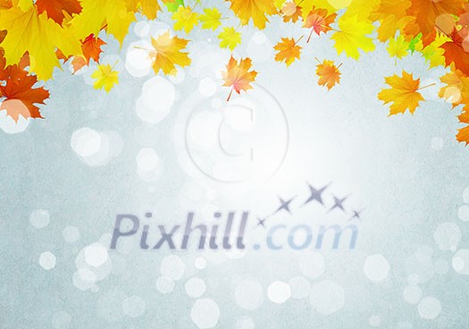 Background conceptual image with autumn leaves. Place for text