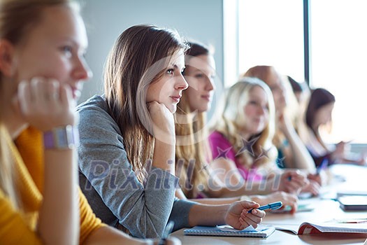 Students in class (color toned image)