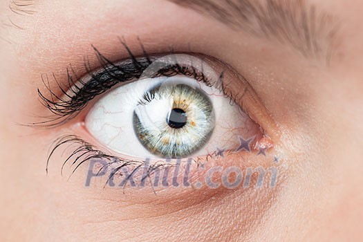 Close-up of a beautiful female blue eye Close-up of a beautiful female blue eye