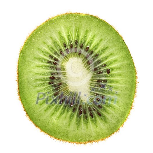 macro photo of kiwi macro photo of kiwi