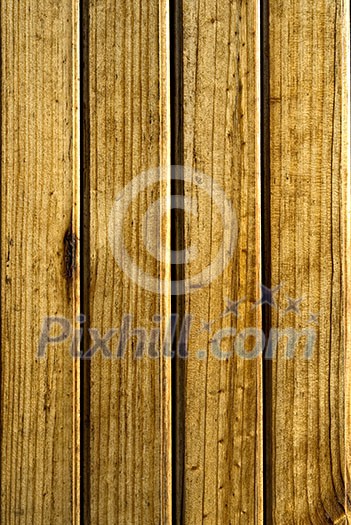 close-up plank texture close-up plank texture