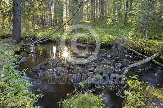 Autumn scenery and calm river in forest