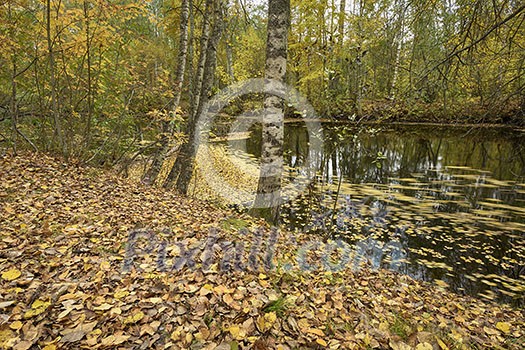 Colorful river scenery in september Colorful river scenery in september