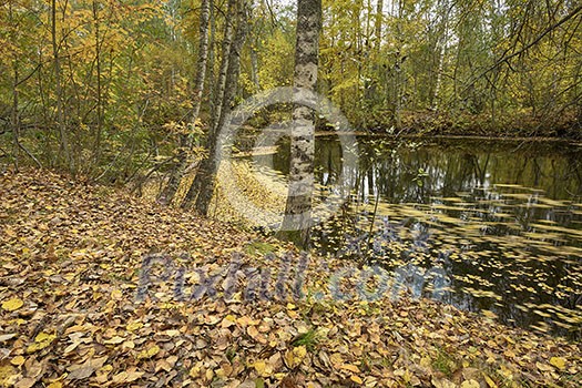 Colorful river scenery in september