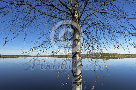 Calm lake scenery in autumn colors Calm lake scenery in autumn colors