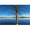 Calm lake scenery in autumn colors