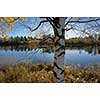 Calm lake scenery in autumn colors