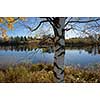 Calm lake scenery in autumn colors