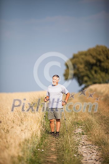 Active handsome senior man nordic walking outdoors on a forest path, enjoying his retirement Active handsome senior man nordic walking outdoors on a forest path, enjoying his retirement