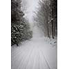 Snowy trees along slippery winter road covered in thick snow. Toronto, Canada.