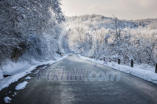 Winter road through icy forest after ice storm and snowfall. Ontario, Canada.