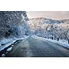 Winter road through icy forest after ice storm and snowfall. Ontario, Canada.