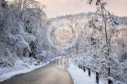 Scenic winter road through icy forest covered in snow after ice storm and snowfall. Ontario, Canada.