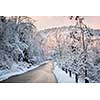 Scenic winter road through icy forest covered in snow after ice storm and snowfall. Ontario, Canada.