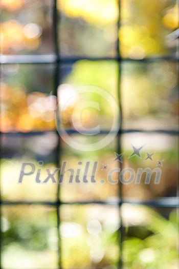 Abstract blurred defocused bokeh background of colorful sunlit garden through window panes