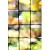 Abstract blurred defocused bokeh background of colorful sunlit garden through window panes