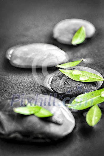 Black and white zen stones submerged in water with color accented green leaves