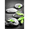 Black and white zen stones submerged in water with color accented green leaves