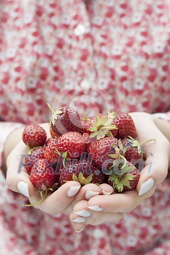 Closeup of female hands holding freshly picked strawberries with copy space