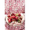 Closeup of female hands holding freshly picked strawberries with copy space