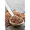 Buckwheat seeds on wooden spoon in closeup