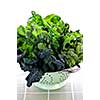 Dark green leafy fresh vegetables in metal colander