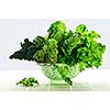 Dark green leafy fresh vegetables in metal colander