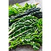 Dark green leafy fresh vegetables on cutting board