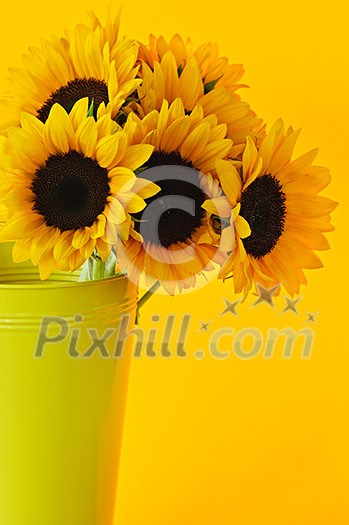 Bouquet of sunflowers in yellow metal vase