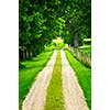 Rural road on small scale sustainable farm with trees and fence