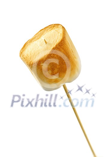 Golden toasted marshmallow on a wooden skewer Golden toasted marshmallow on a wooden skewer