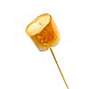 Golden toasted marshmallow on a wooden skewer