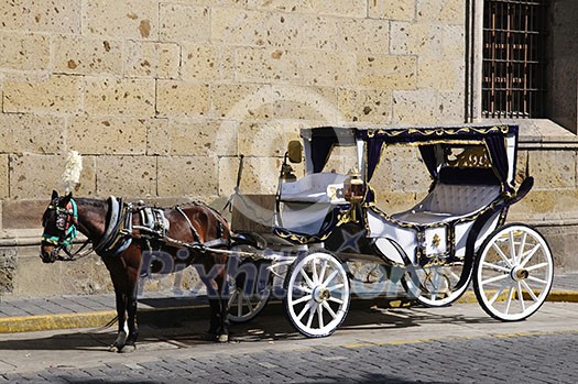 Horse drawn carriage waiting for tourists in historic Guadalajara, Jalisco, Mexico Horse drawn carriage waiting for tourists in historic Guadalajara, Jalisco, Mexico