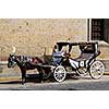 Horse drawn carriage waiting for tourists in historic Guadalajara, Jalisco, Mexico