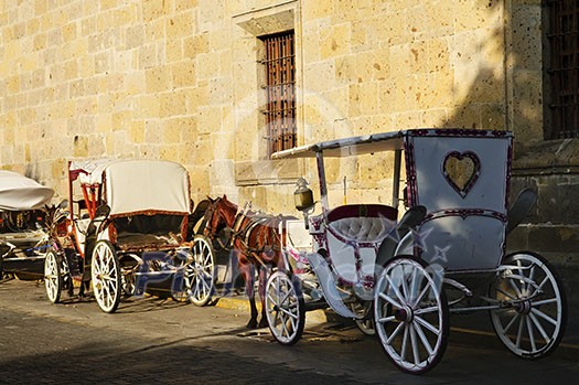 Horse drawn carriages waiting for tourists in historic Guadalajara, Jalisco, Mexico Horse drawn carriages waiting for tourists in historic Guadalajara, Jalisco, Mexico