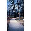 Path through city park at dusk with street lamps