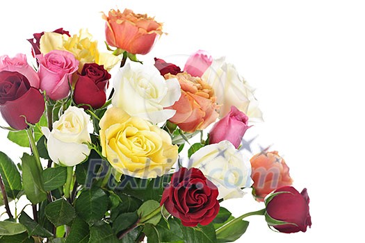 Bouquet of assorted multicolored  roses isolated on white background