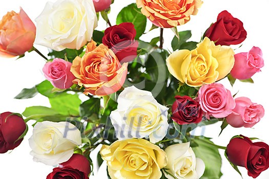 Bouquet of assorted multicolored roses from above on white background
