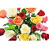 Bouquet of assorted multicolored roses from above on white background