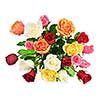 Bouquet of assorted multicolored roses from above isolated on white background