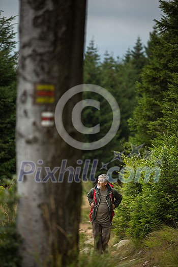 Active senior hiking in high mountains (Swiss Alps)