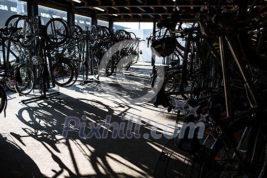 Bike rental service Bike rental service