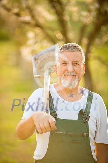 Portrait of a handsome senior man gardening in his garden, on a lovely spring day (color toned image)