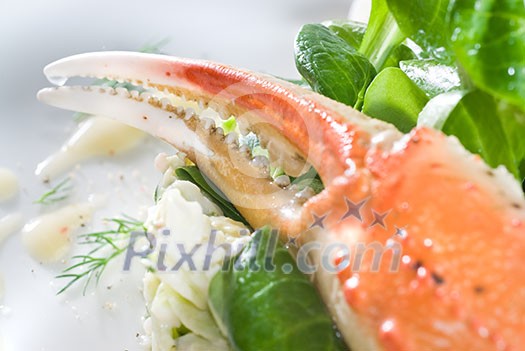 salad with crab